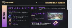 VALORANT ヴァロラントポイント 10200VP VALORANT ヴァロラントポイント 10200VP